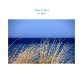 Download track The Calm Dan Mervis