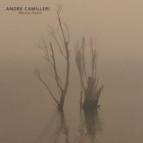 Download track Weary Heart Andre Camilleri