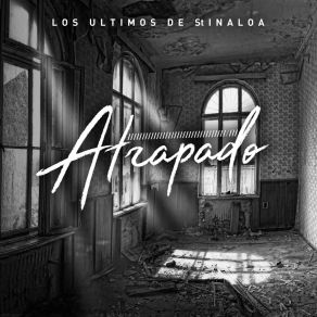 Download track Corazon De Oropel De Sinaloa