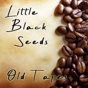 Download track Low Lights Little Black Seeds