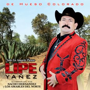 Download track Si Tengo A Mi Madre Lipe Yañez