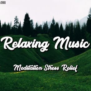 Download track Meditative Choir Musica Para Dormir Profundamente