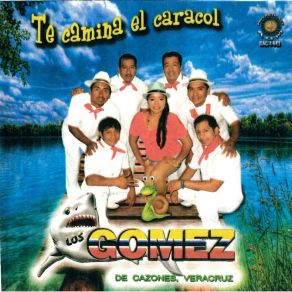 Download track Solterita Los Gomez