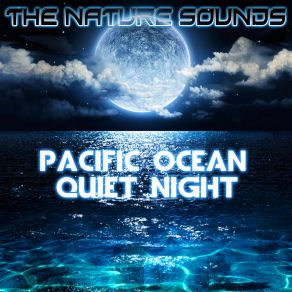 Download track Pacific Ocean Quiet Night With Calming Waves, Pt. 1 Nature Sounds