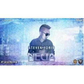 Download track Necia (Feeling Music) Steven Yoris