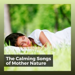 Download track Soothing Tune Of The Forest Binaural Landscapes