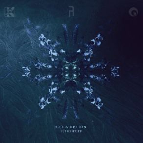 Download track In The Lakes (Option Remix) Option, K2T