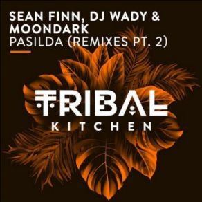 Download track Pasilda (Luca Debonaire Remix) DJ Wady, Sean Finn, MoonDark