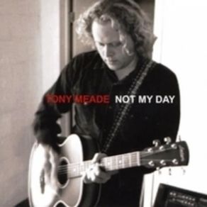 Download track Its You Tony Meade