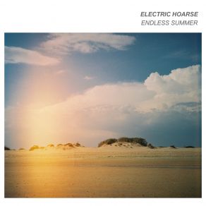 Download track I'm Your Fan Electric Hoarse