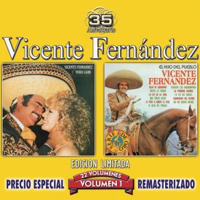 Download track Que Amor Me Quedará Vicente Fernández