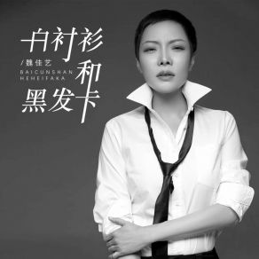 Download track 白衬衫和黑发卡 (DJBanan版 伴奏) 魏佳艺Banan