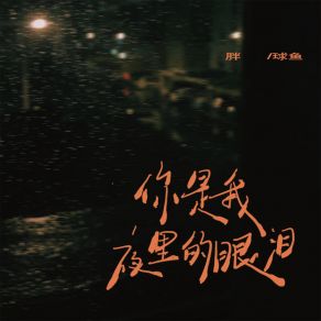 Download track 你是我夜里的眼泪 Pang Qiu Yu