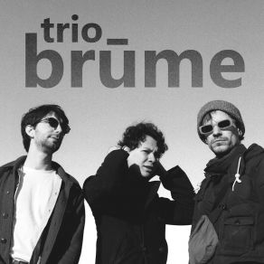 Download track Plac'h Landelo (Live) Trio Brūme