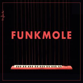 Download track Funkmole Trifecta