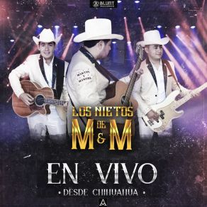 Download track El Borracho Del Espejo (En Vivo) Los Nietos De MyM