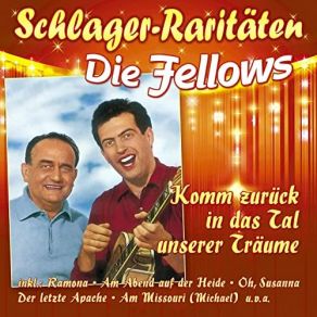 Download track Am Abend Auf Der Heide Die Fellows