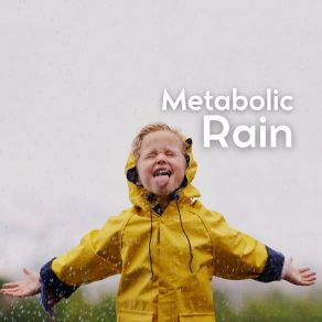 Download track Rain For Happy Dreams, Pt. 8 Nature Soundscapes