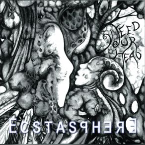 Download track The Fallen Ecstasphere