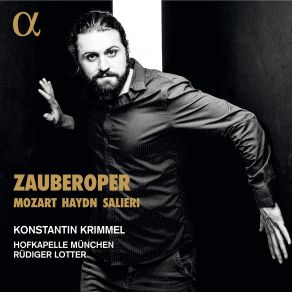 Download track Haydn: Orlando Paladino, Hob. XXVIII: 11, Act I: Temerario! Senti E Trema! (Rodomonte) Hofkapelle München, Rudiger Lotter, Konstantin Krimmel