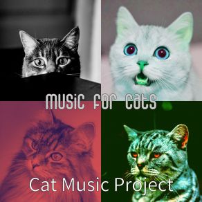 Download track Serene Ambiance For Cats Cat Music Project