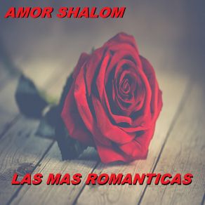 Download track La Apretadita Las Mas Romanticas