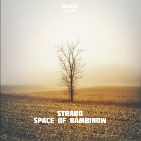 Download track Space Of Bambinow Strabo