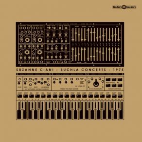 Download track Concert At Phil Niblock's Loft Suzanne Ciani