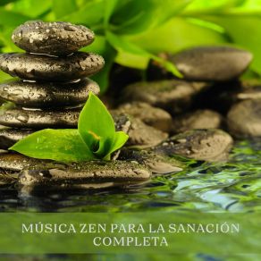 Download track Renacimiento Vital Javier Melodías Curativas