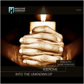 Download track Into The Unknown (Shane Robinson Remix) A'JeromeShane Robinson