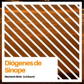 Download track Mechanic Birds 16 Diógenes De Sinope