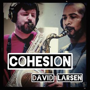 Download track Cohesion David Larsen