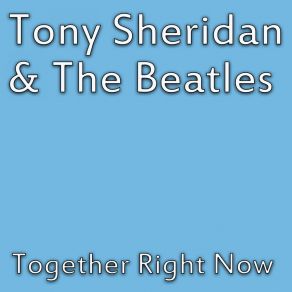 Download track Why (Can't You Love Me Again) The Beatles