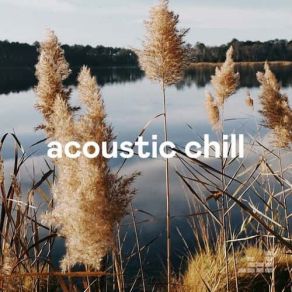 Download track Meadow (Acoustic) Liam Gallagher