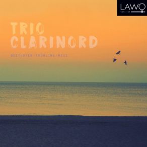 Download track Clarinet Trio, Op. 40 I. Mässig Schnell Trio ClariNord