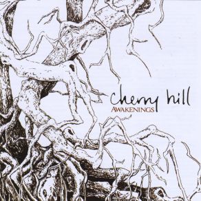 Download track You Seem Wide Awake Cherry Hill