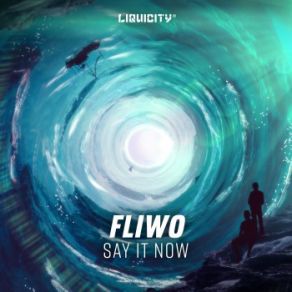 Download track Say It Now Fliwo