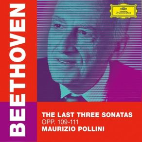 Download track 10. Piano Sonata No. 31 In A-Flat Major, Op. 110 ' 1. Moderato Cantabile Molto Espressivo Ludwig Van Beethoven