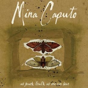 Download track Cracks In The Mirror Keith Caputo