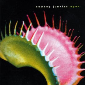 Download track Dragging Hooks (River Song Trilogy, Part III)  Cowboy Junkies