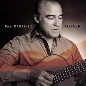 Download track Zamba De Usted Paz Martinez