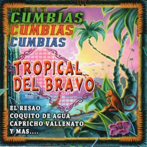 Download track Toquen Un Paseo Tropical Del Bravo