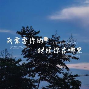 Download track 我需要你的时候你在哪里 (Live伴奏) 恋特特