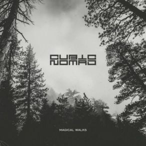 Download track The Incredible Journey Of The Butterflies Cubic Nomad