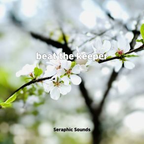 Download track Tea Recipe Seraphic Sounds