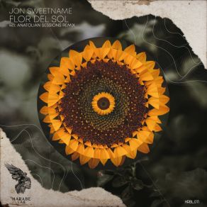 Download track Flor Del Sol Jon Sweetname