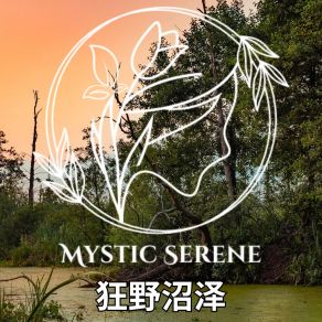 Download track 大型沼泽 Mystic Serene