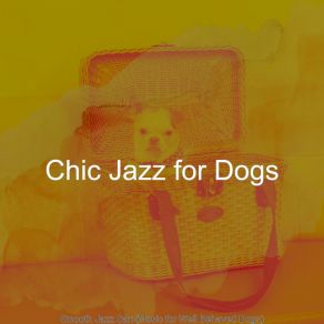 Download track Fiery Smooth Jazz Saxophone - Vibe For Dog Walking Chic Jazz For Dogs