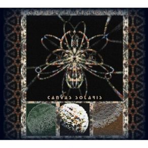 Download track Reticular Consciousness Canvas Solaris