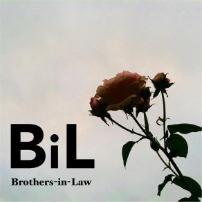 Download track High Mountain Brothers In Law